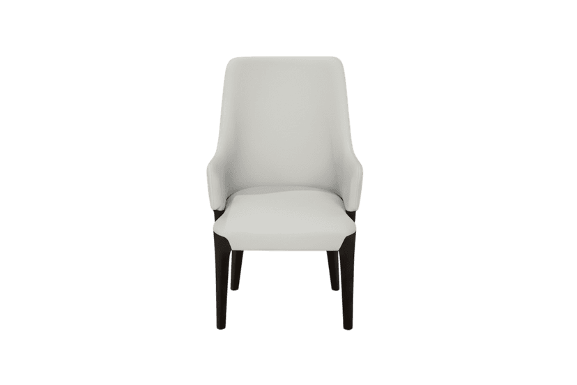 Lounge Recliner